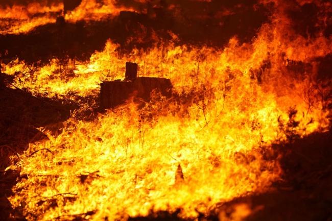 Пожар «Калдор» в Калифорнии