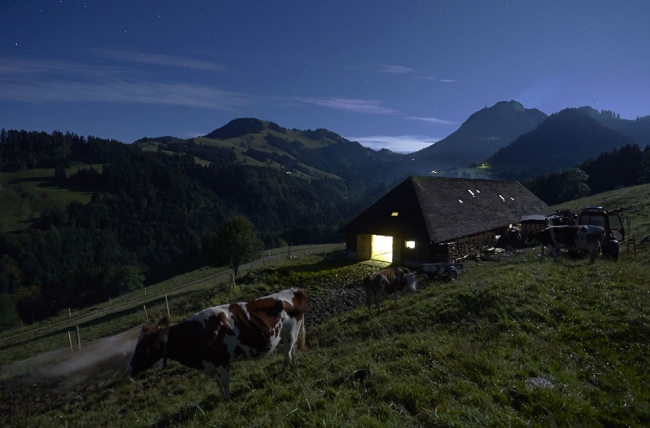 Швейцарские сыроделы