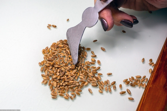 Как хранят зерно