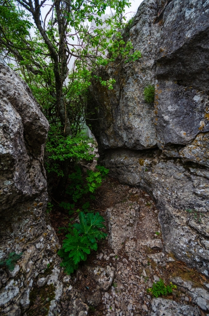Перевал Байдарские ворота в Крыму