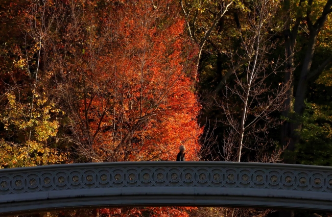 Осенние фотографии природы