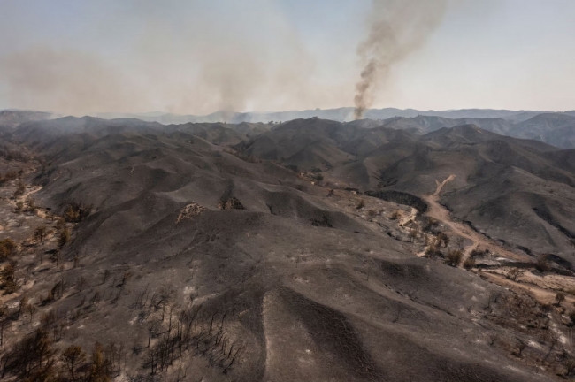 Лесные пожары в Греции на острове Родос
