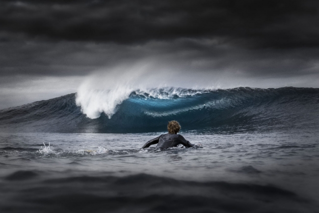 Лучшие фотографии из жизни океанов Ocean Photographer of the Year 2023