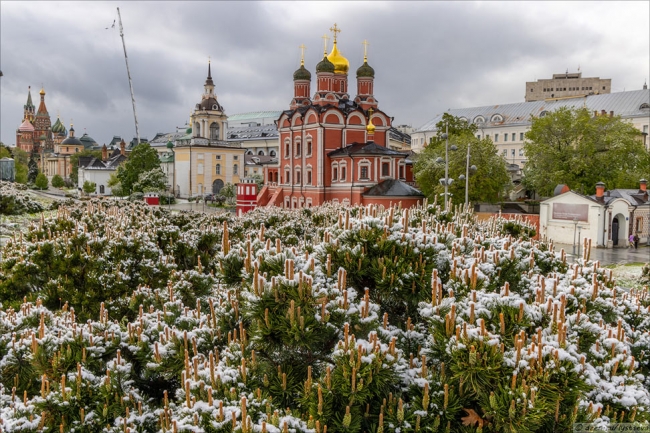 Май в Москве