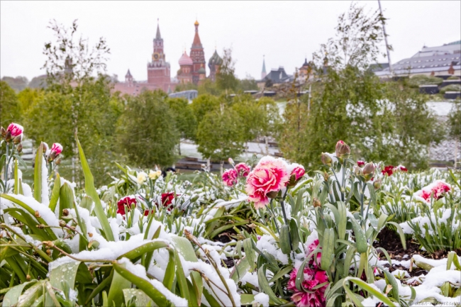 Май в Москве