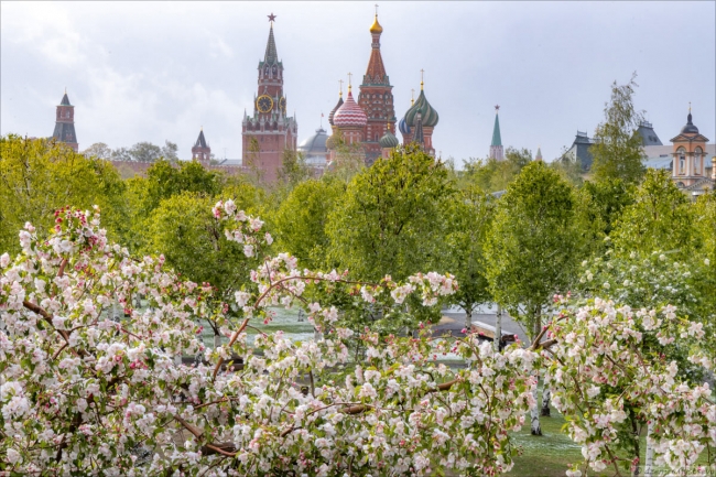 Май в Москве