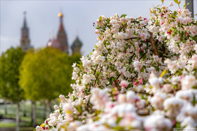 Май в Москве