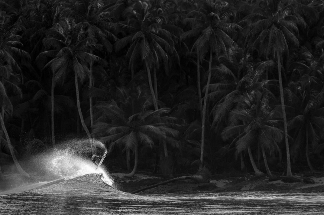 Финалисты подводного конкурса Ocean Photographer of the Year 2024