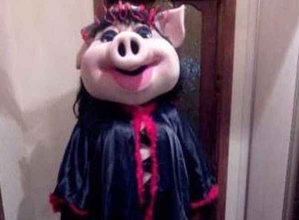 Новый костюм свиньи-стриптизерши, сшитый на заказ