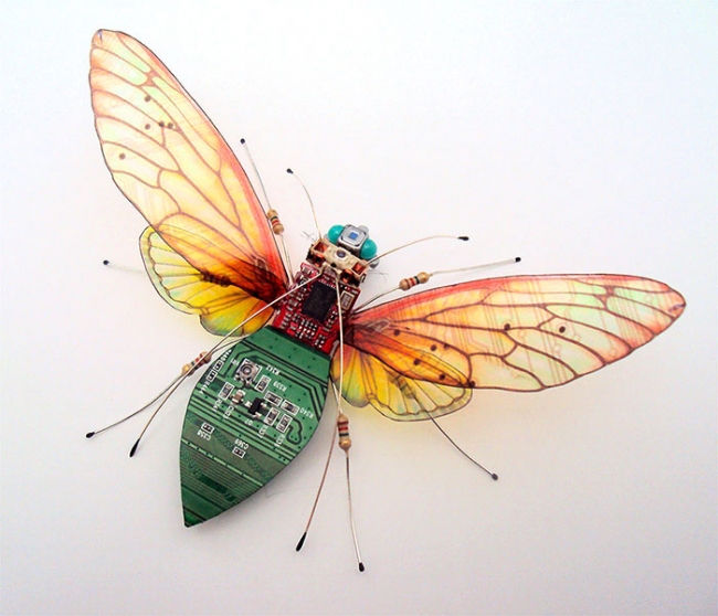 Удивительное преображение старых компьютеров: бабочки и жуки из техномусора