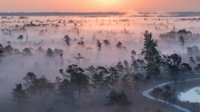 Кемерский национальный парк в Латвии