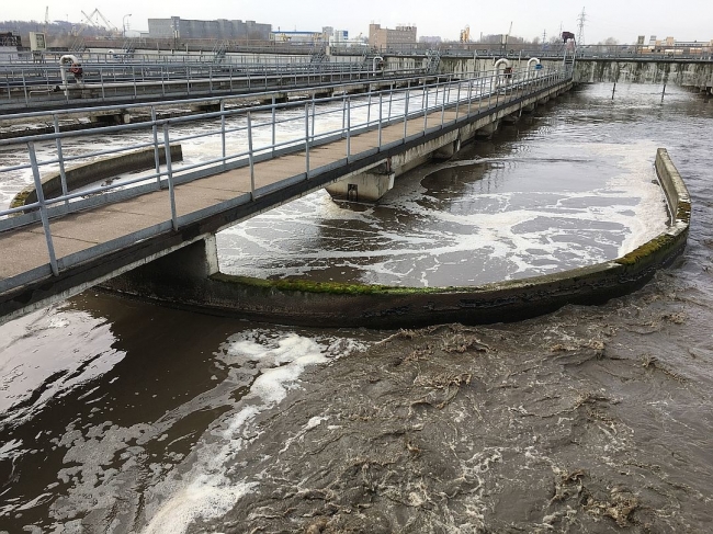 На очистных сооружениях Москвы выращивают осетров