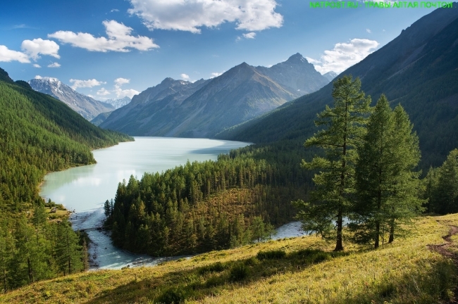 Природа горного Алтая, Россия. Фото