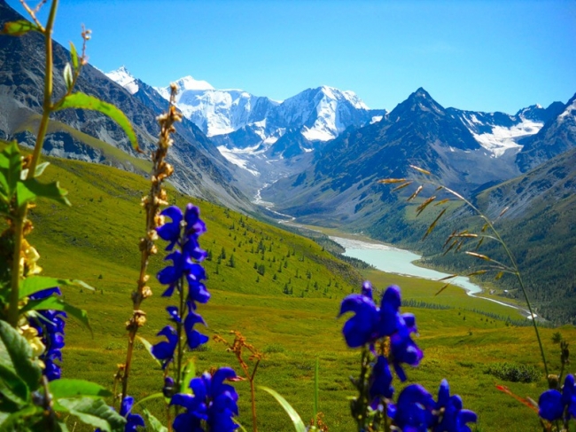 Природа горного Алтая, Россия. Фото