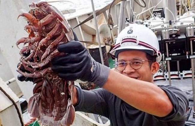 Ученые Индонезии обнаружили подводного таракана